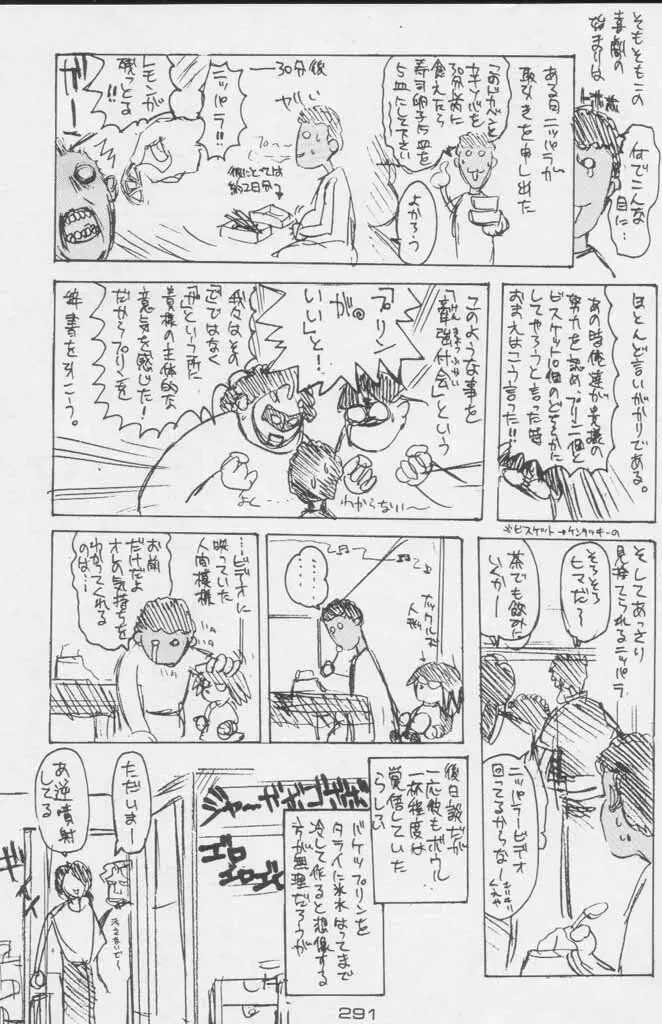 ぽールのミラクルイニシエーション Page.291