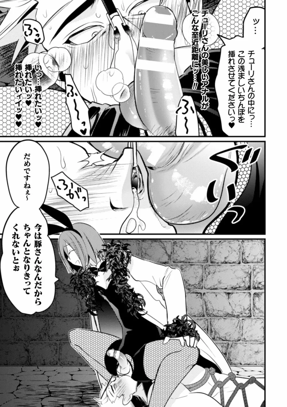 生真面目ドM戦士、酒場のバニー男の娘に××されちゃいました Page.26