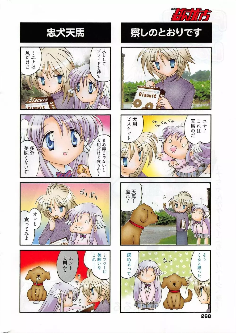 漫画ばんがいち 2010年6月号 Page.267