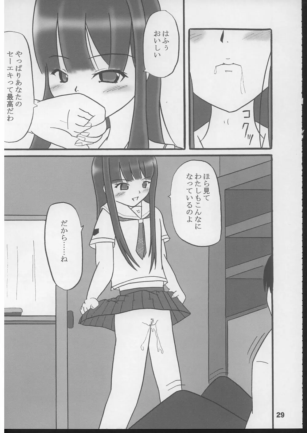 姫の素 Page.28