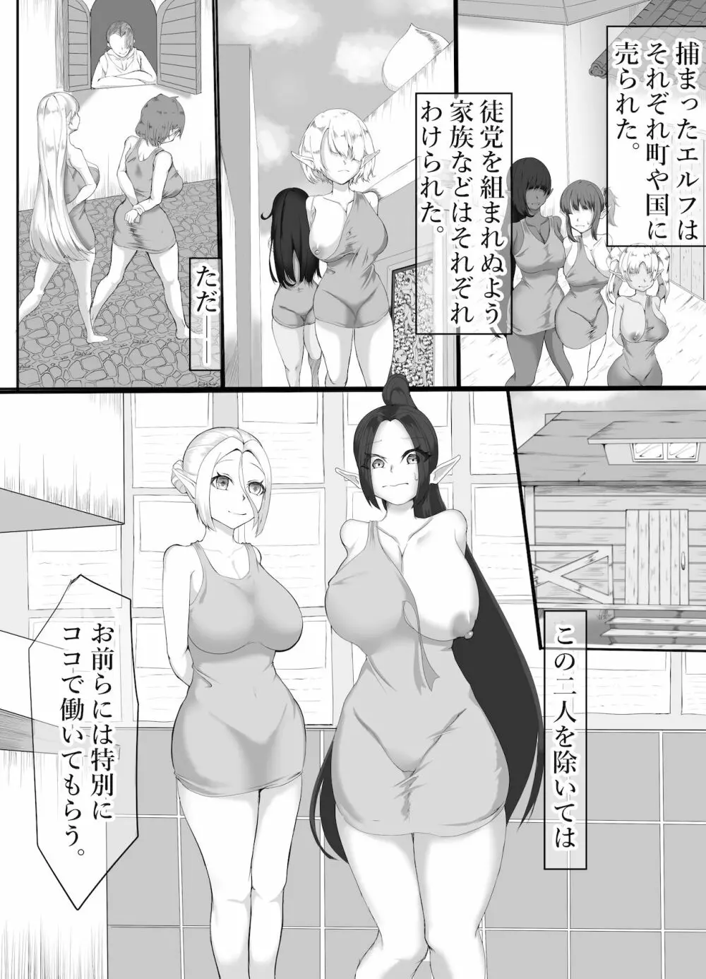 エルフ底辺奴隷へと堕ちる 3 Page.2