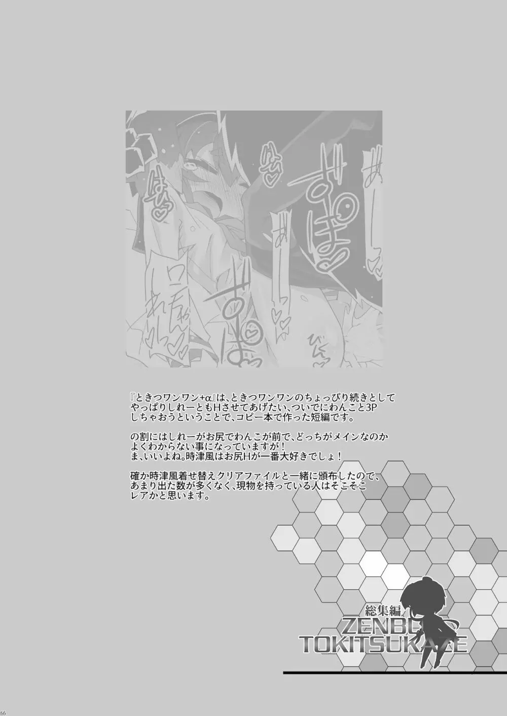 総集編 ZENBU TOKITSUKAZE Page.66
