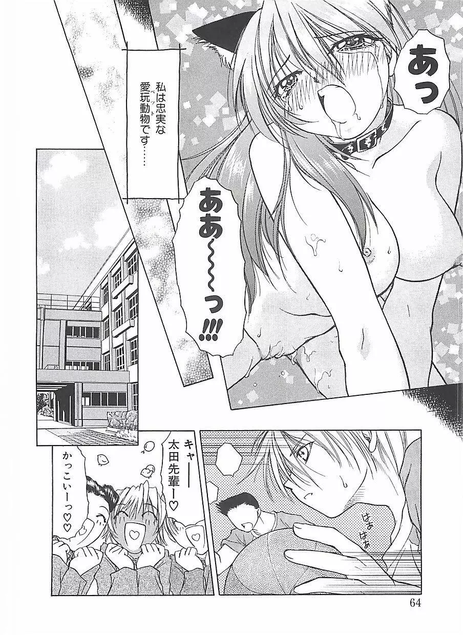 アビシニアン Page.64