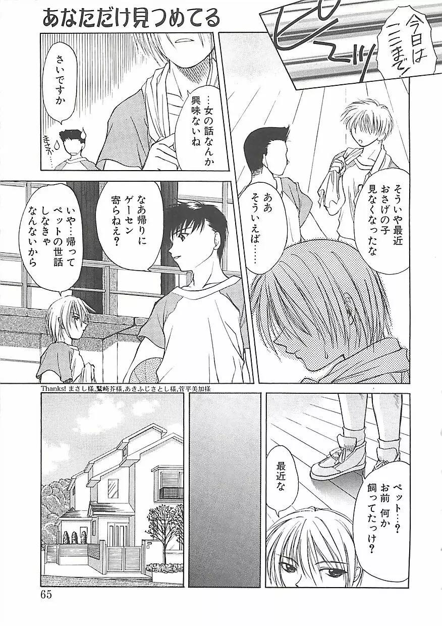 アビシニアン Page.65