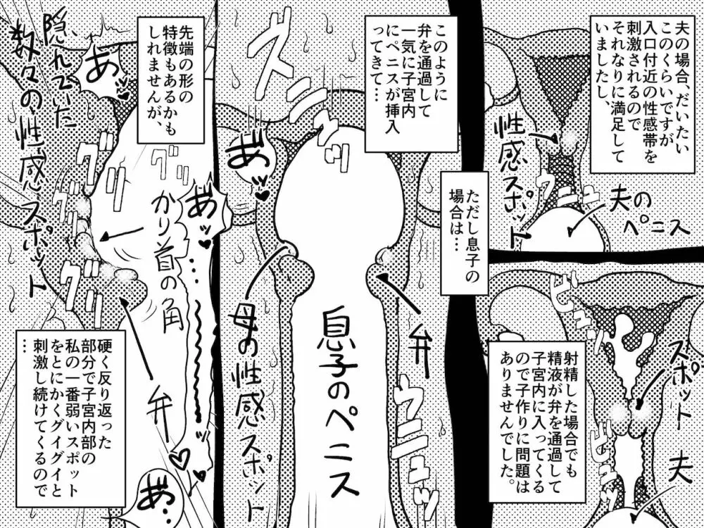 ヤリたい盛りの息子と多淫症のお母さんとの性生活の日常の話。 Page.30