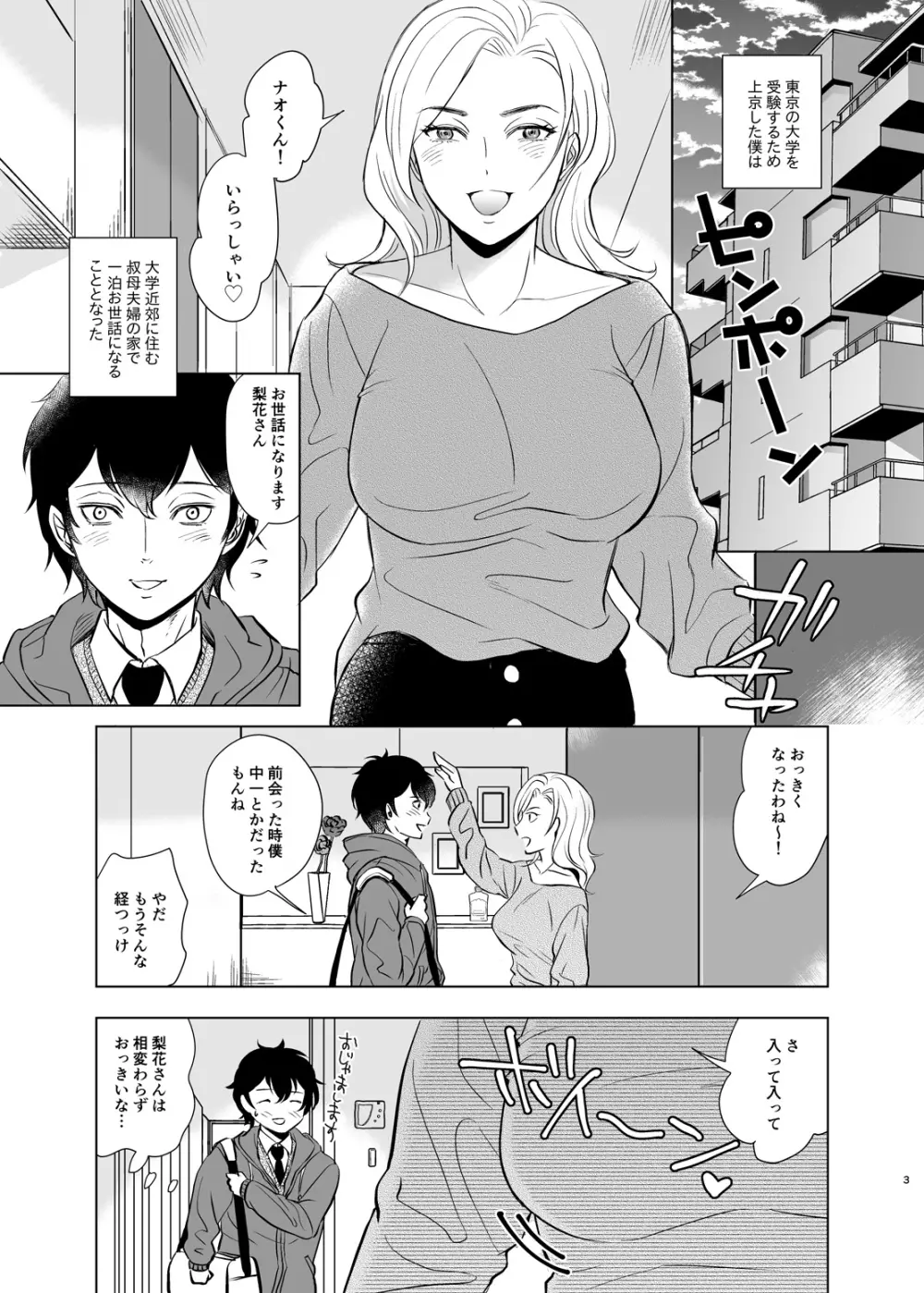 入試前日人妻の叔母に筆おろしされた Page.4