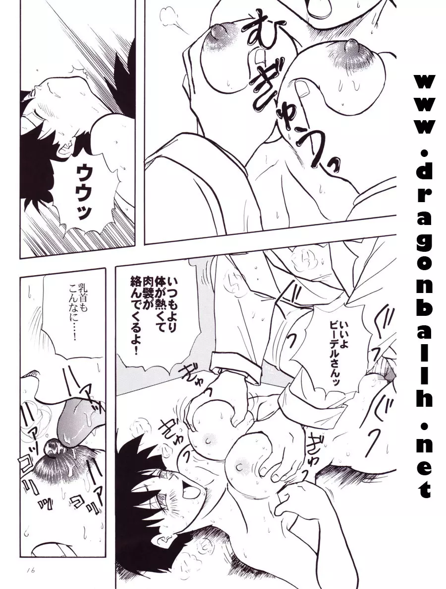 Dragon Ball Z - Wakayo Page.17
