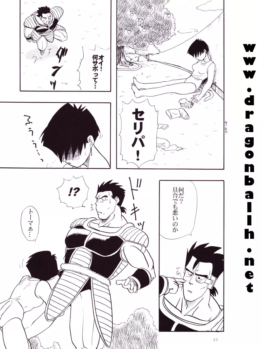 Dragon Ball Z - Wakayo Page.34