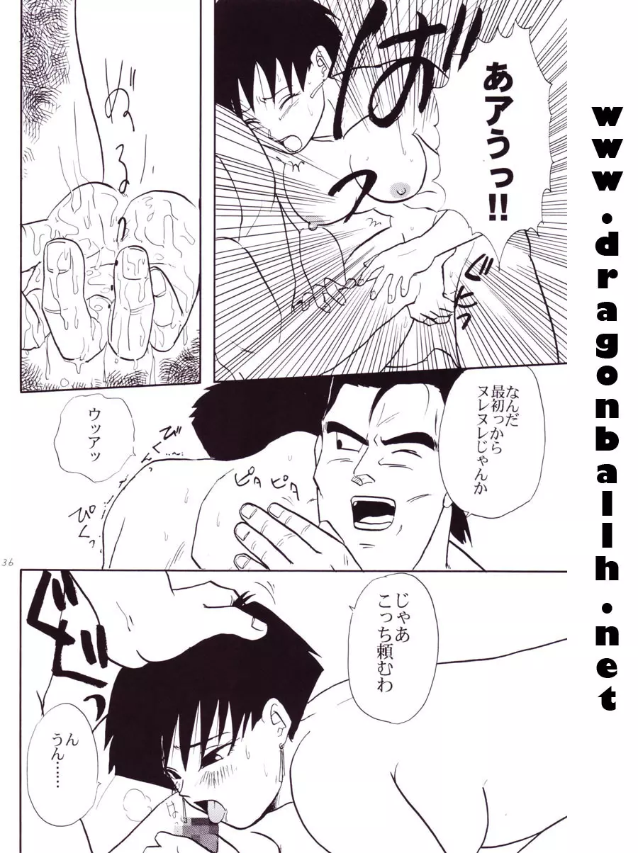 Dragon Ball Z - Wakayo Page.37