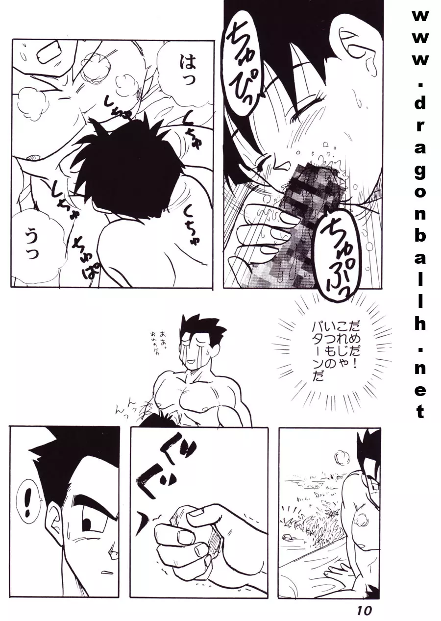 色鰐 Page.10