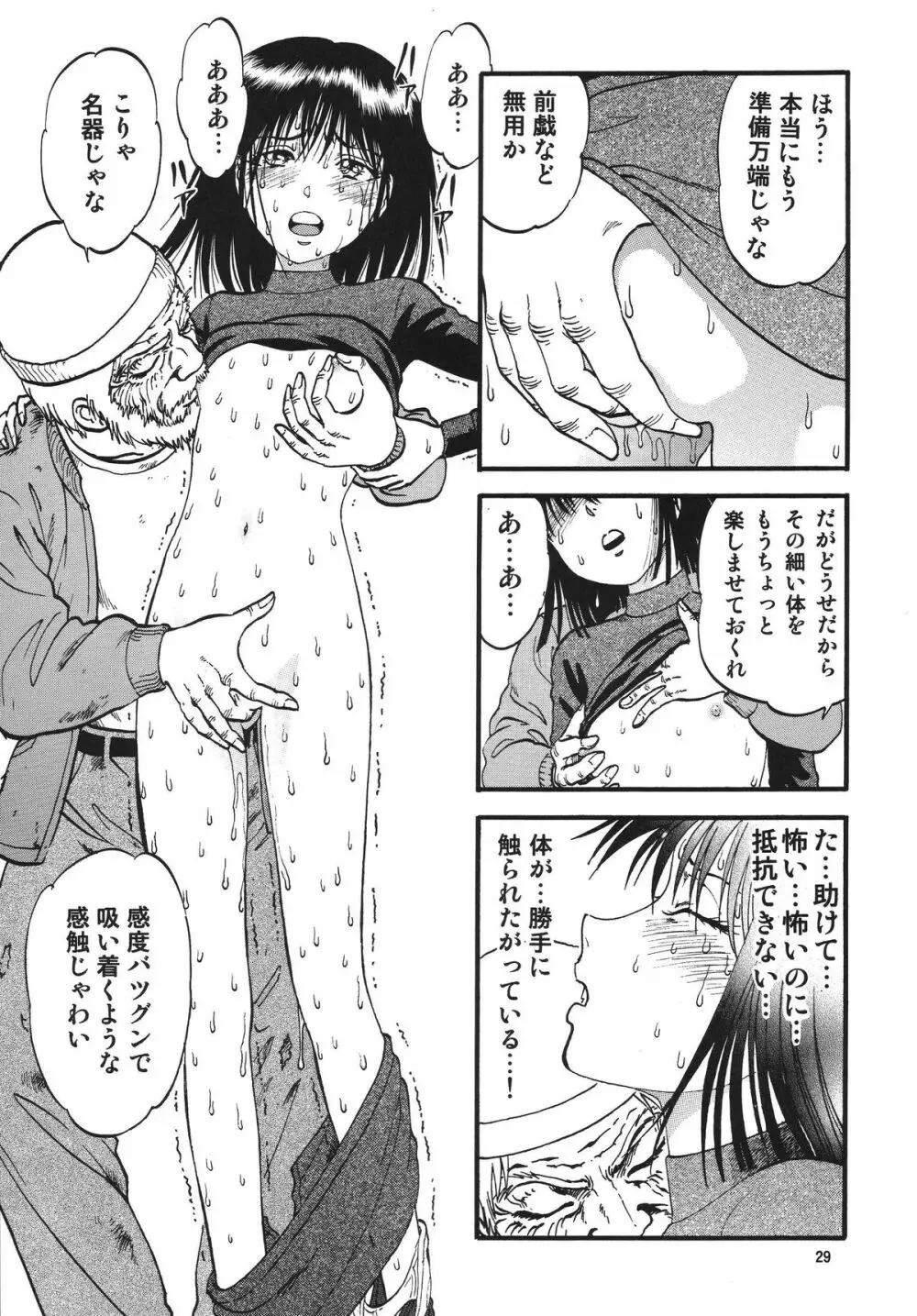 螢の雫 Page.29