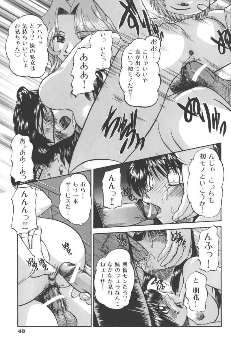 いけない兄妹関係 Page.43