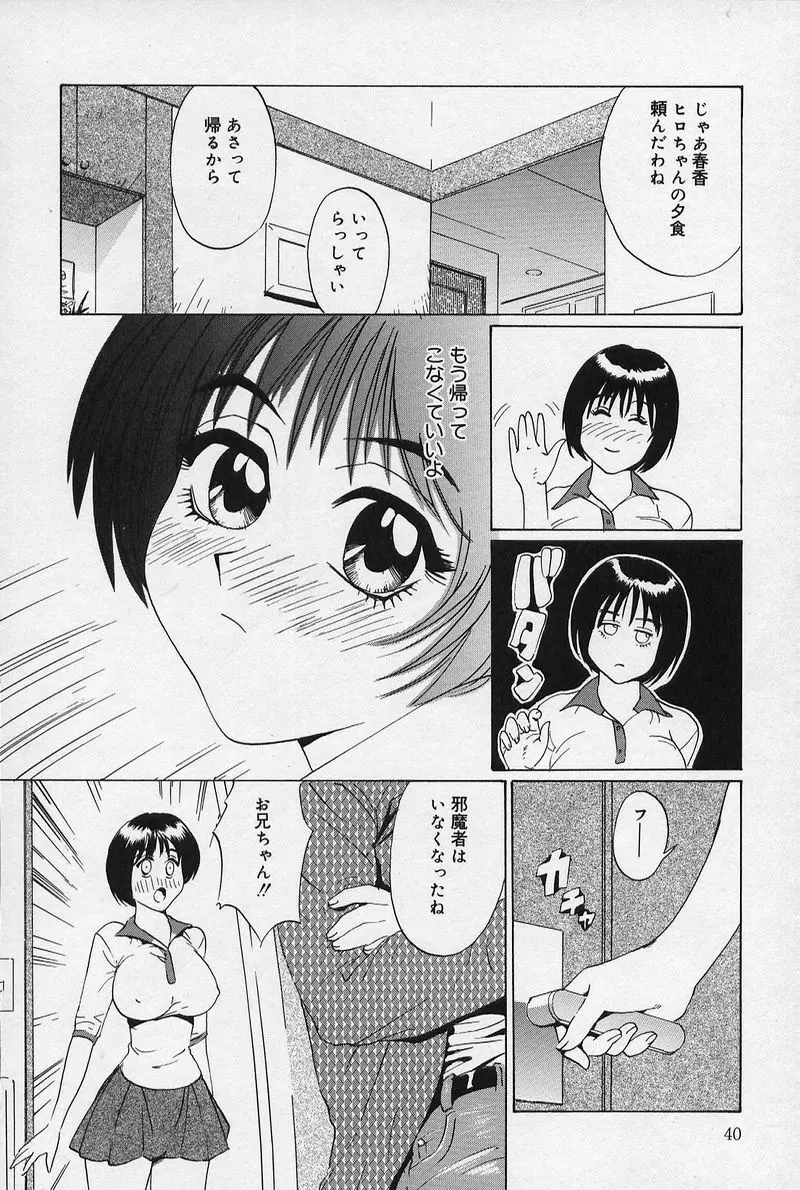 兄と妹とオッパイと。 Page.43