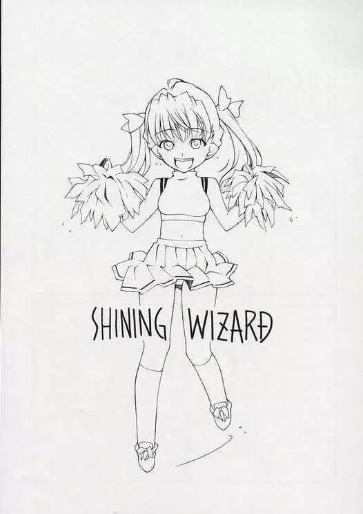 SHINING WIZARD Page.2