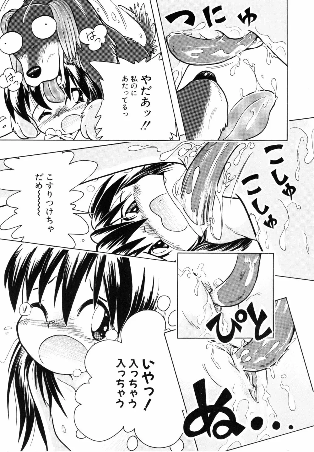 ポケットに好奇心 Page.144