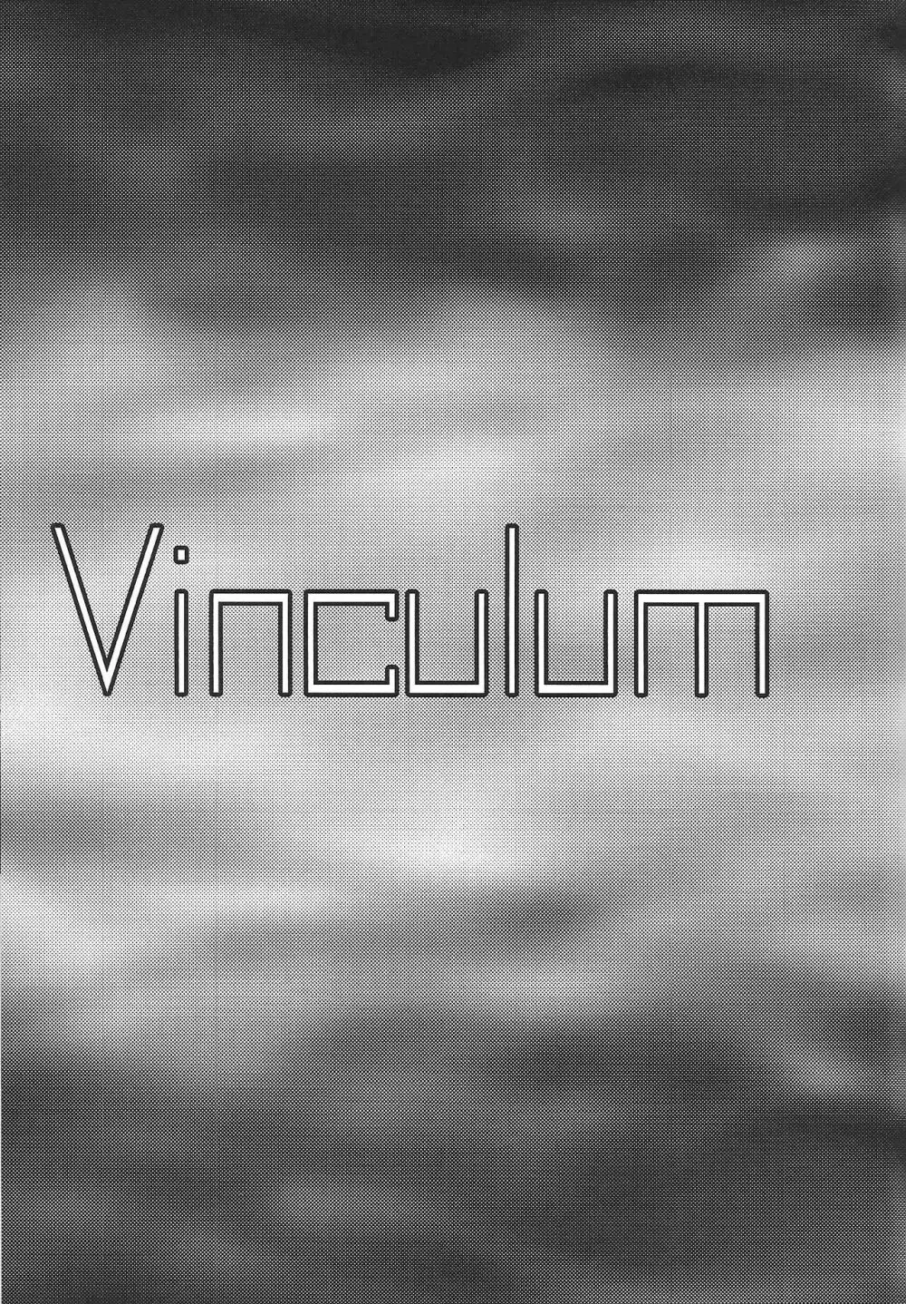 Vinculum Page.6