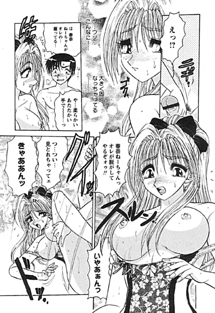 絶対隷奴 Page.45