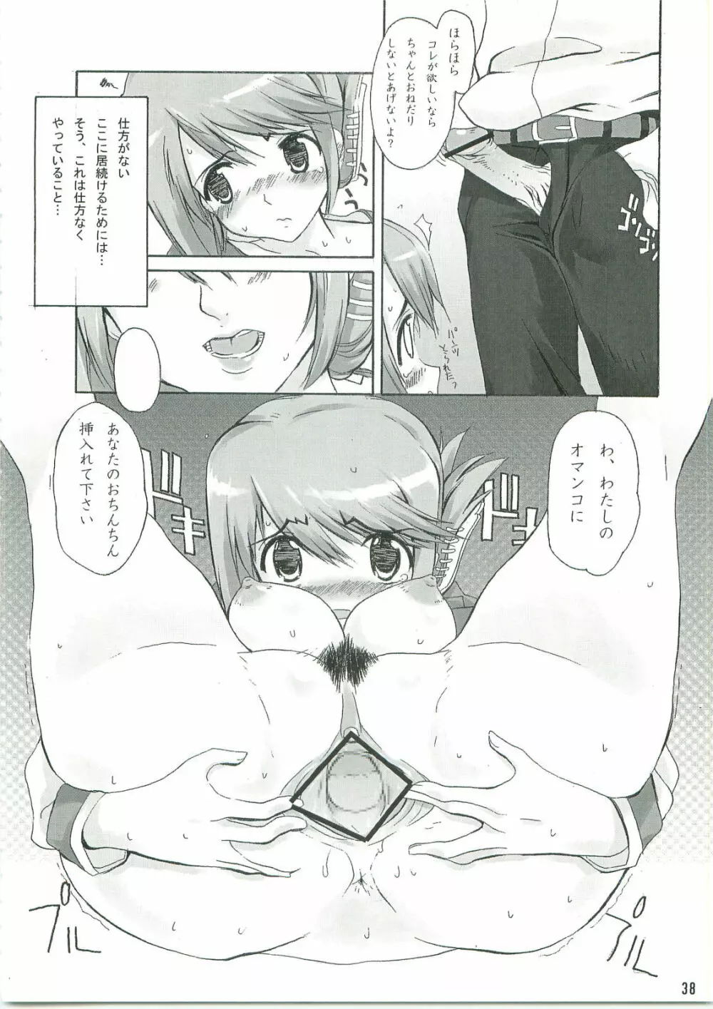 カユミドメ+ α Page.39