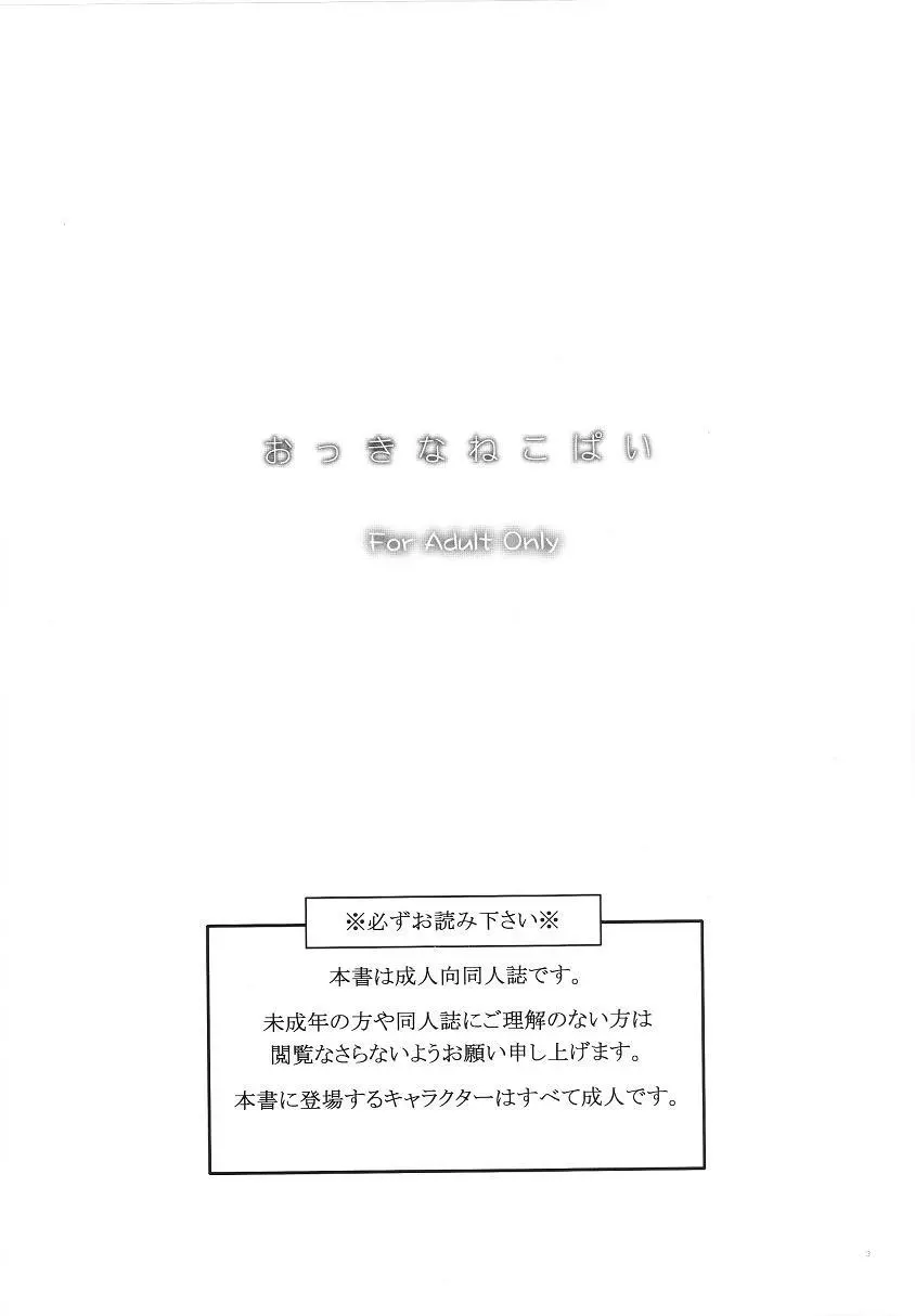 おっきなねこぱい Page.2