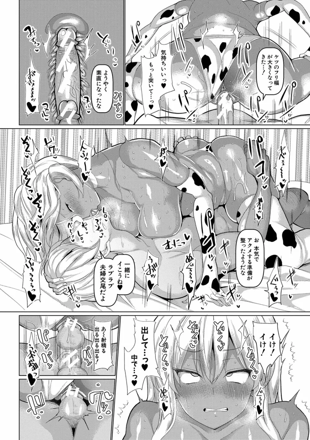 交尾のマナー その基本と原則 Page.121