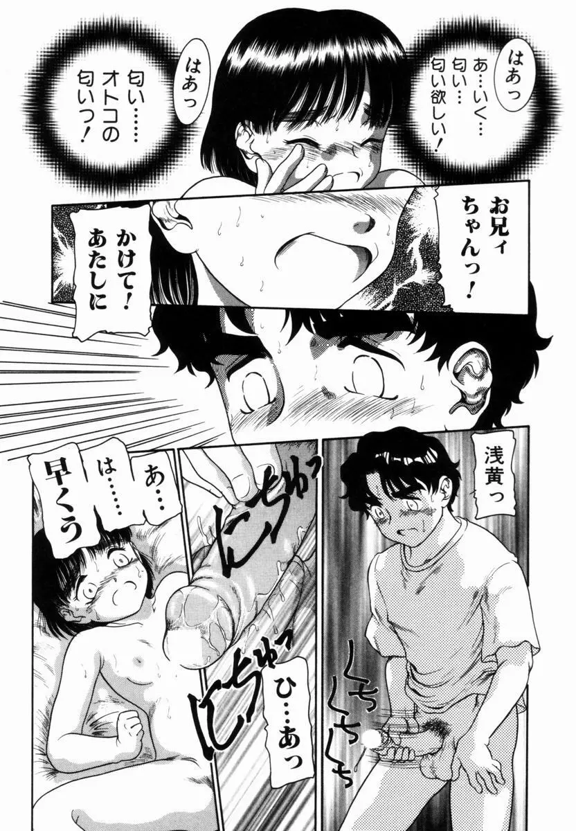 Pungent Scent 魅惑の香り Page.22