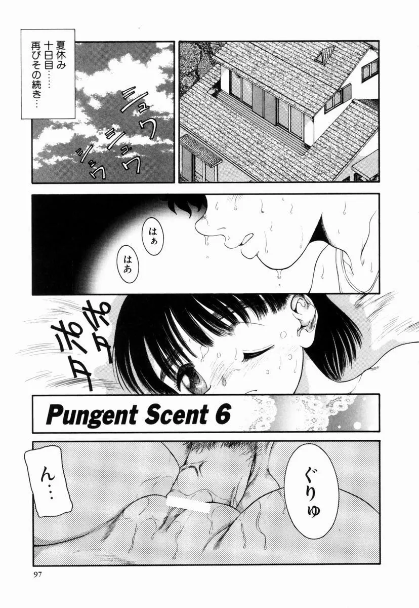 Pungent Scent 魅惑の香り Page.98