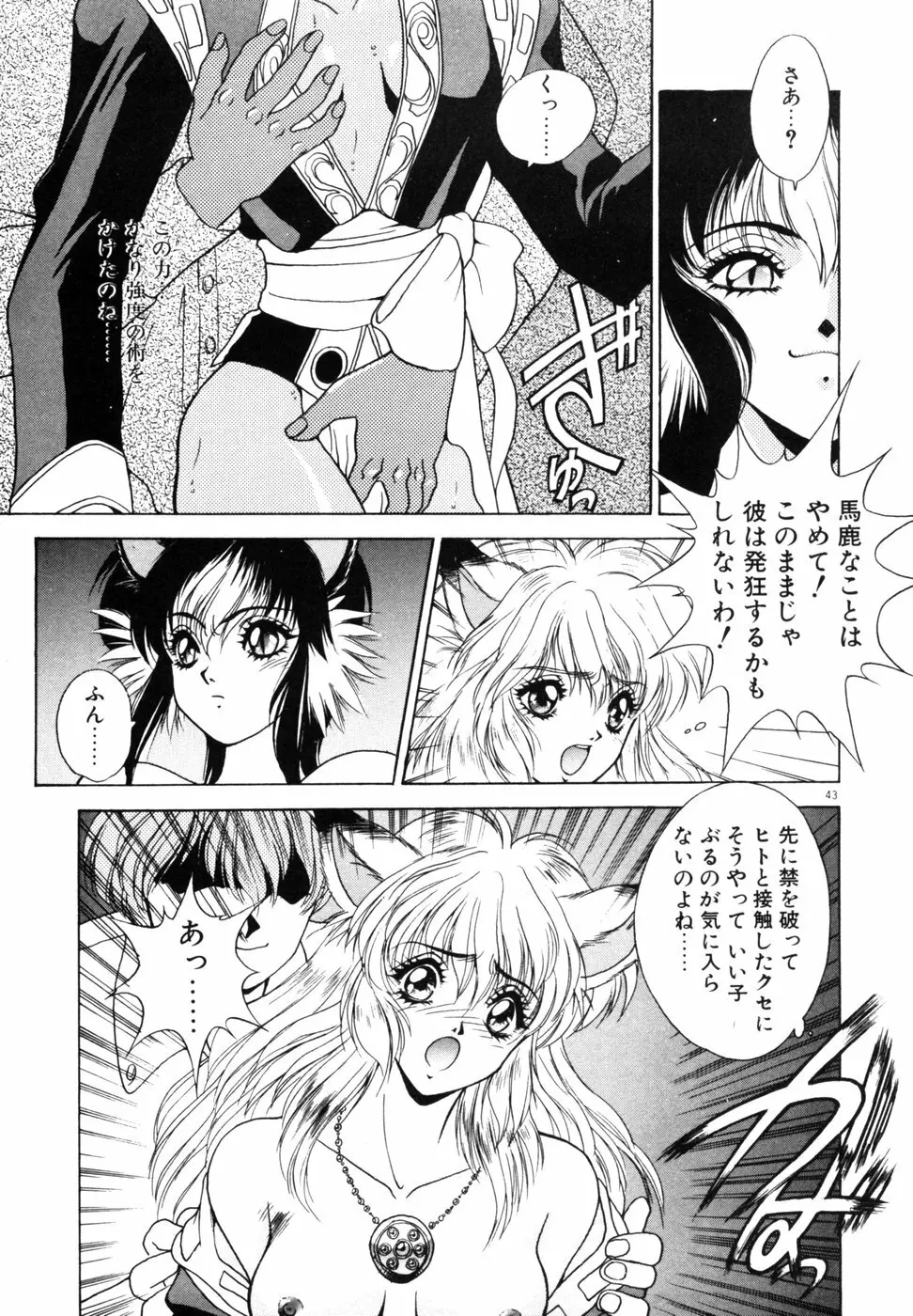 ファントム・ガーデン Page.46