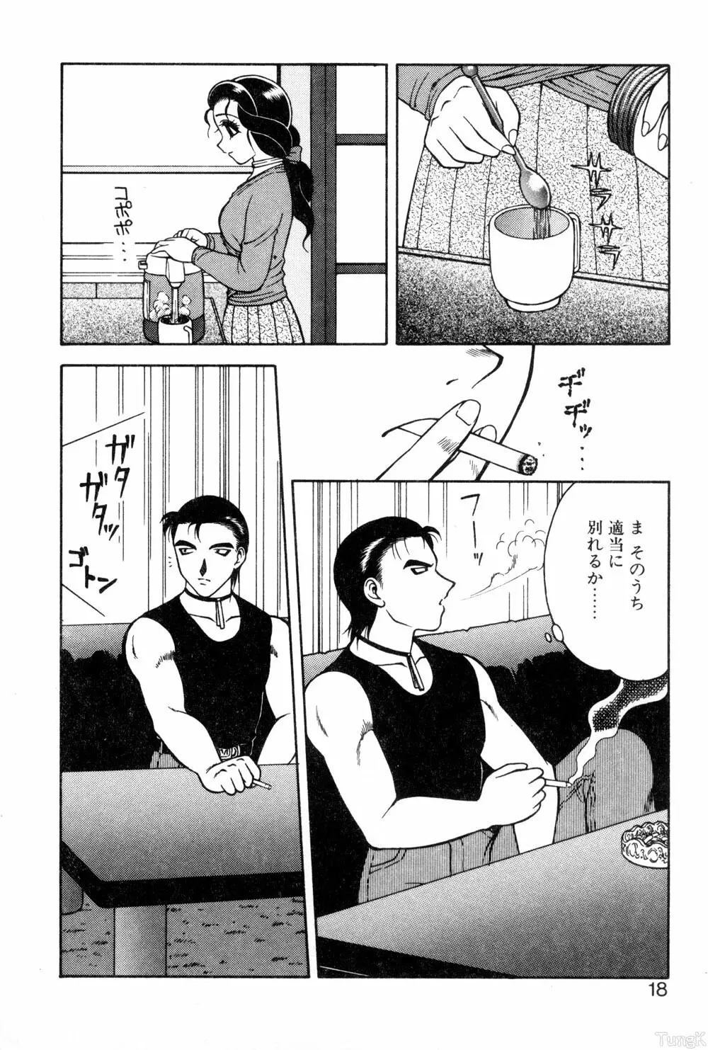 紫苑の夜 愛蔵版 Page.16