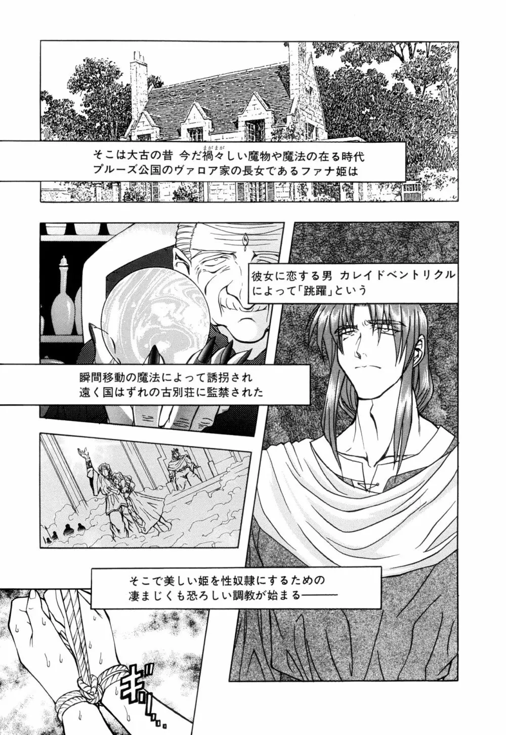 監禁牝奴隷 Page.35