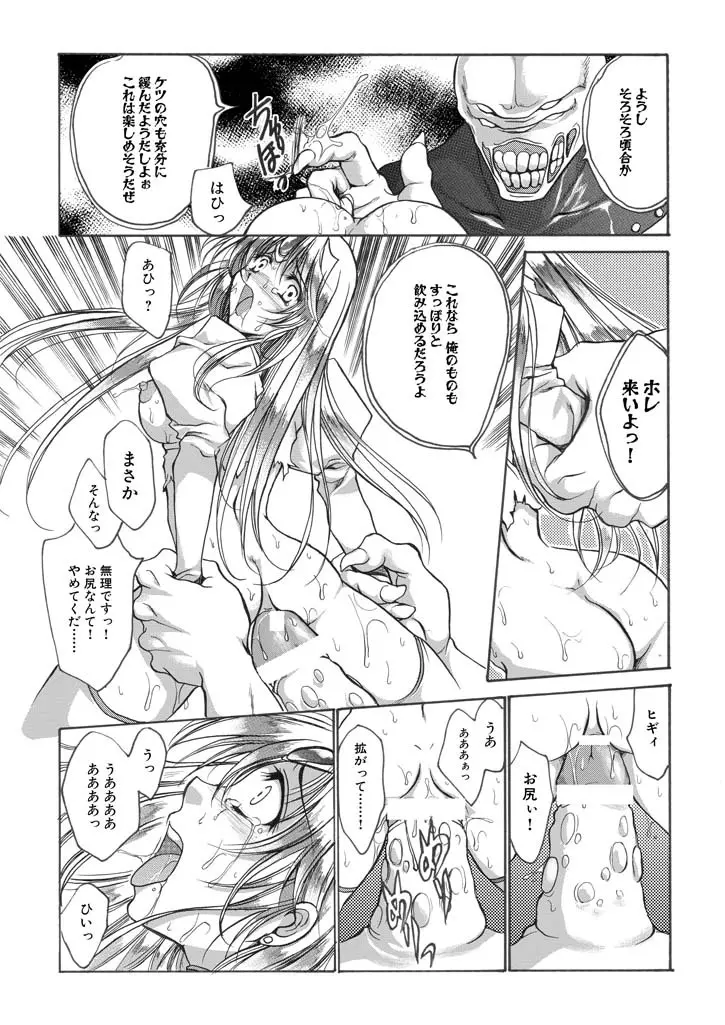 聖王妃 エルレイン（田宮秋人） Princess St Page.14