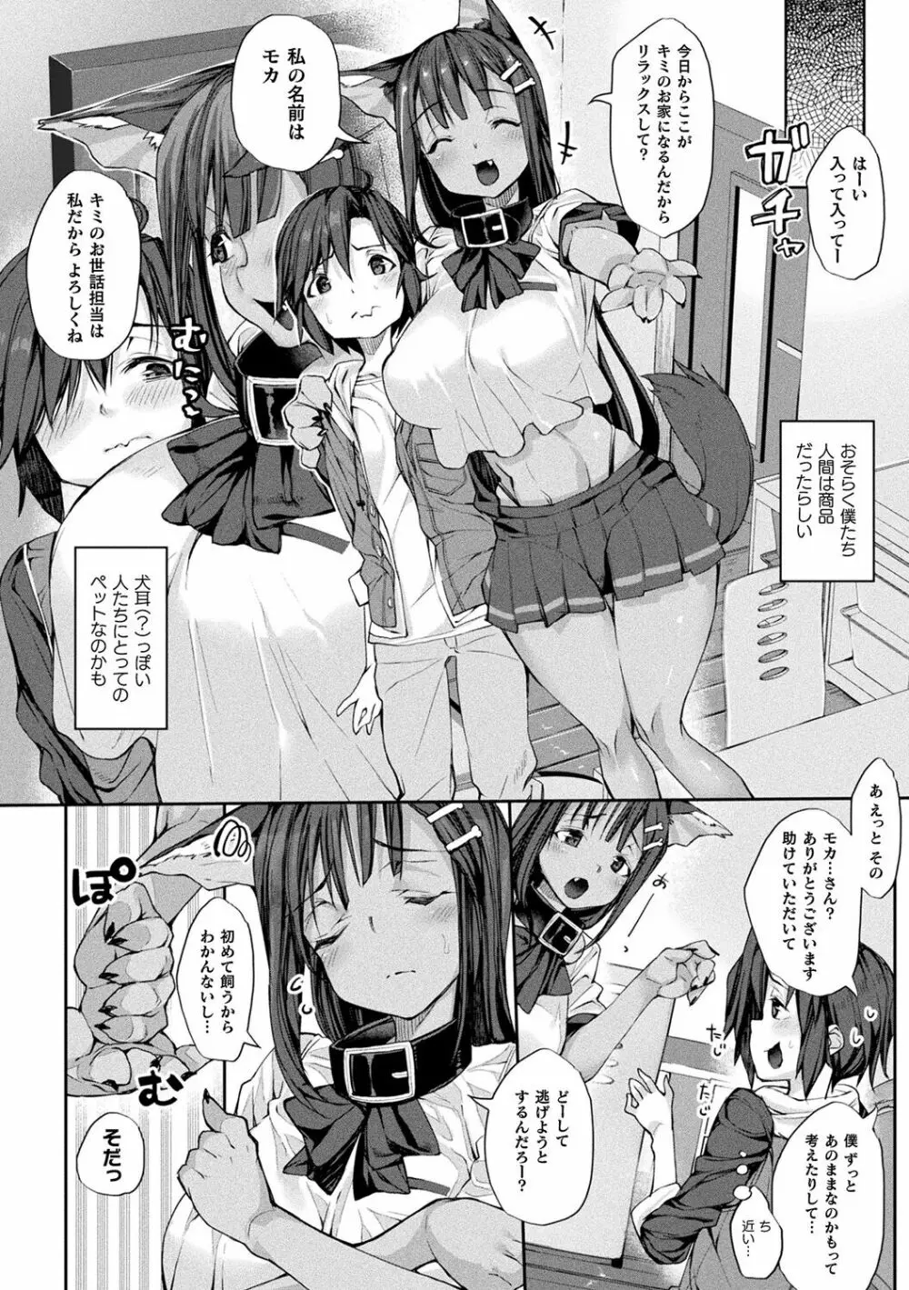 搾精ペットになれるかな?～人外ちゃんたちに搾られる～ Page.154