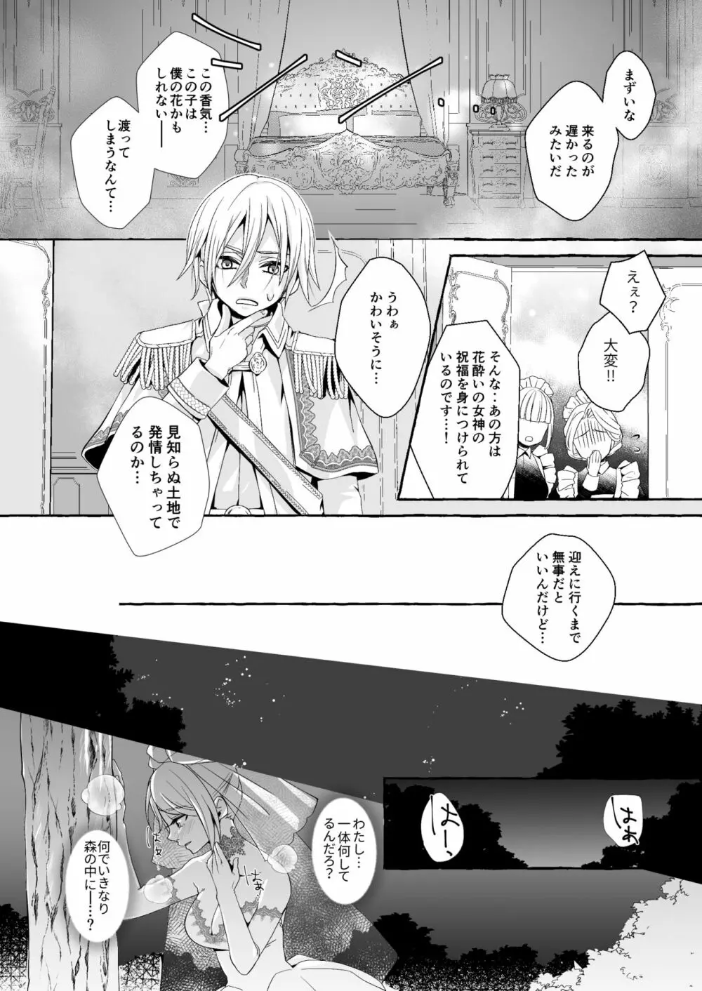 渡りの花嫁は呪いを受ける Page.12