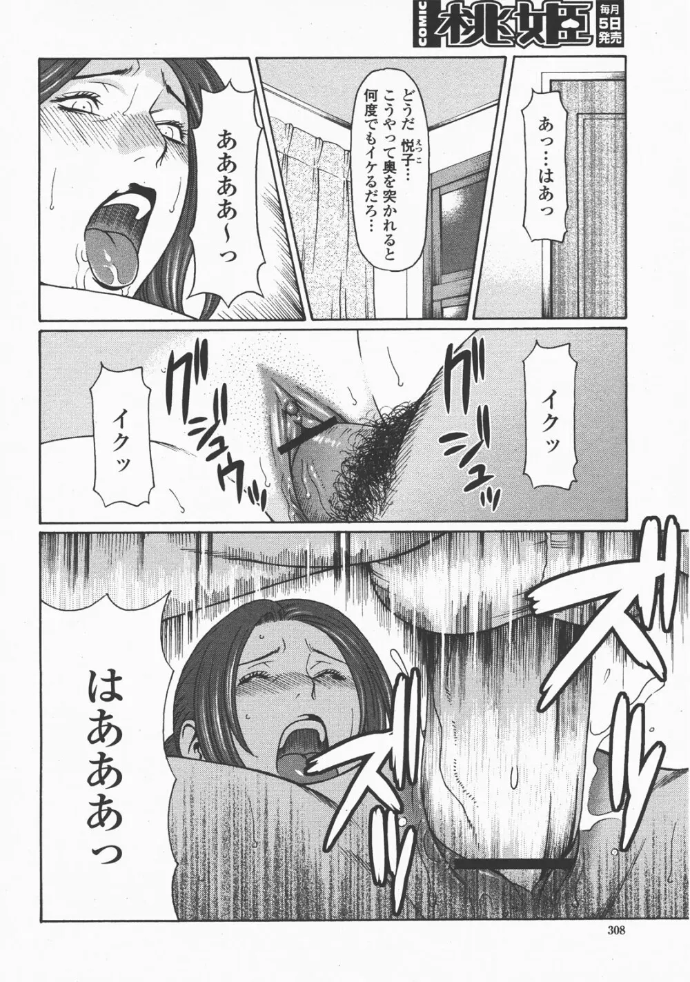 COMIC 桃姫 2007年12月号 Page.311