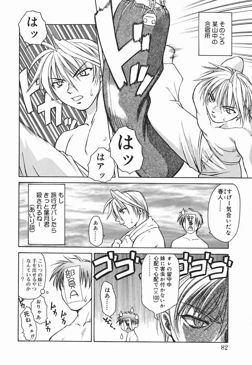 葉月くんの恋人 Page.83