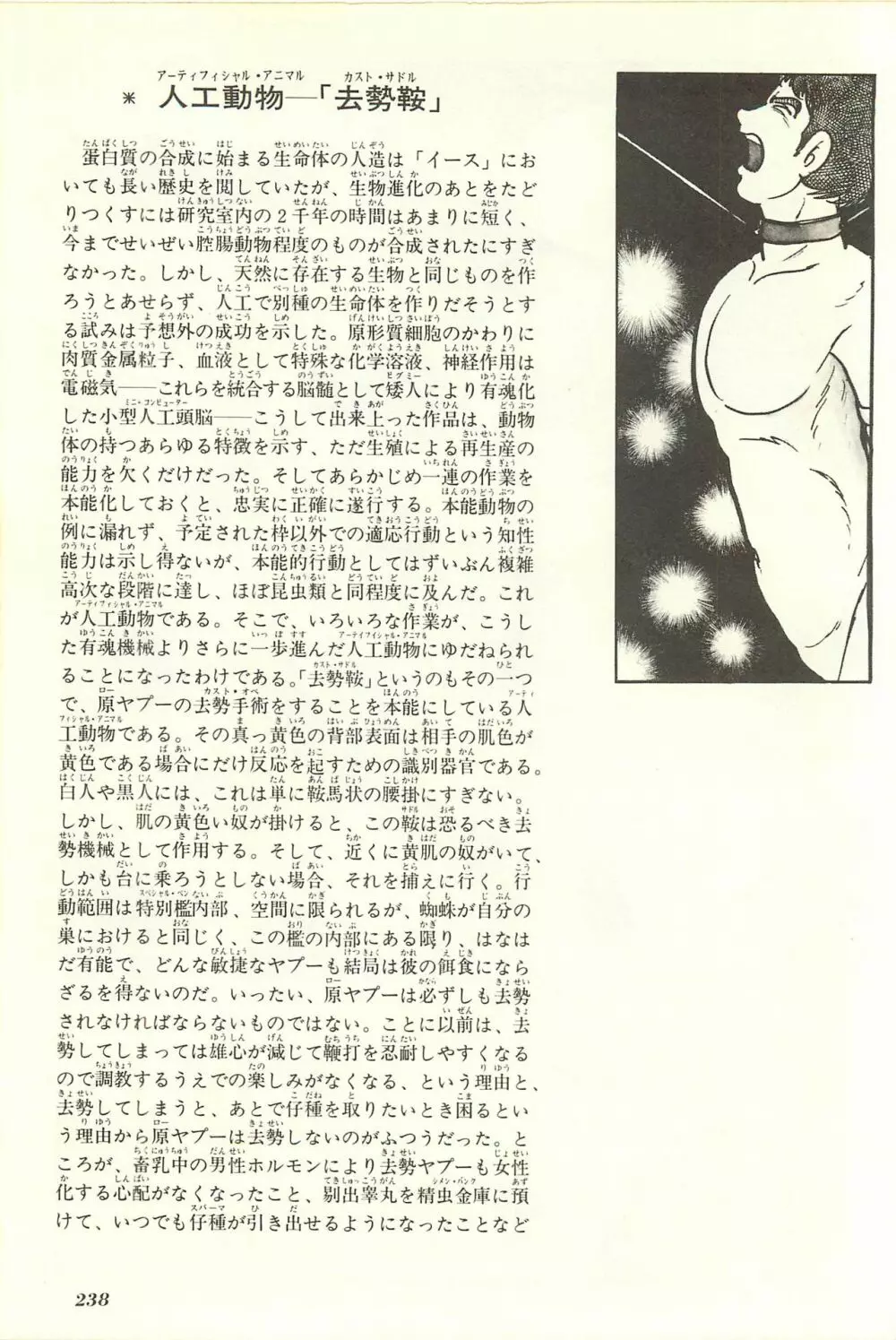 Gekiga Yapoo Shoutai Page.245
