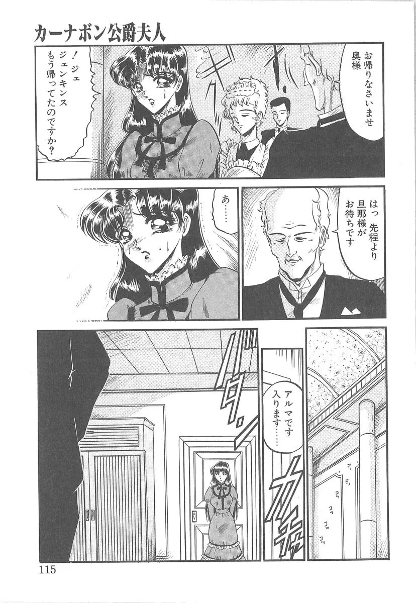 美しく禍き翳り Page.113