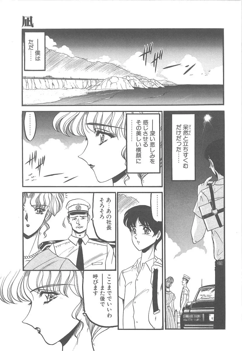 美しく禍き翳り Page.43