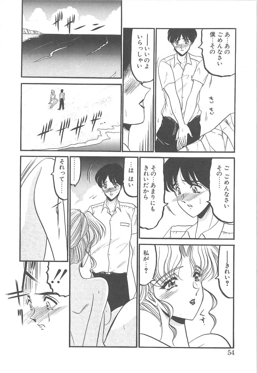 美しく禍き翳り Page.52