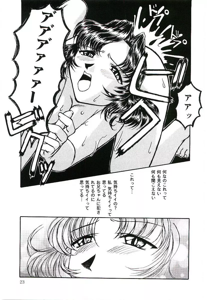 淫術指南書3号 Page.24