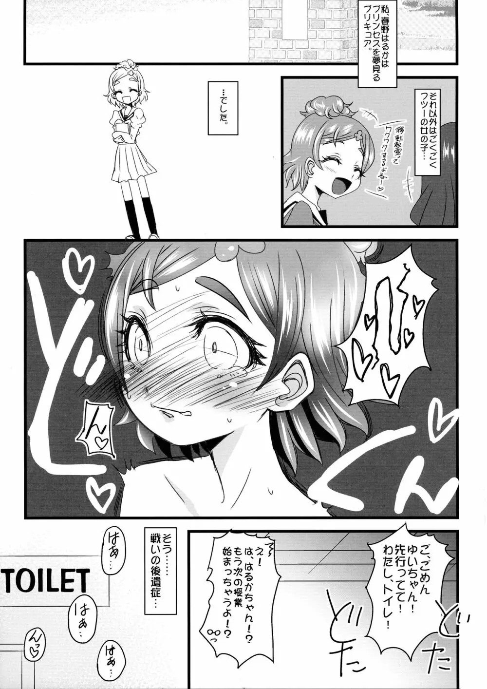 はるはるのハルハル♂が張る張るのでみなみさんときらりんで○○管理する本 Page.5