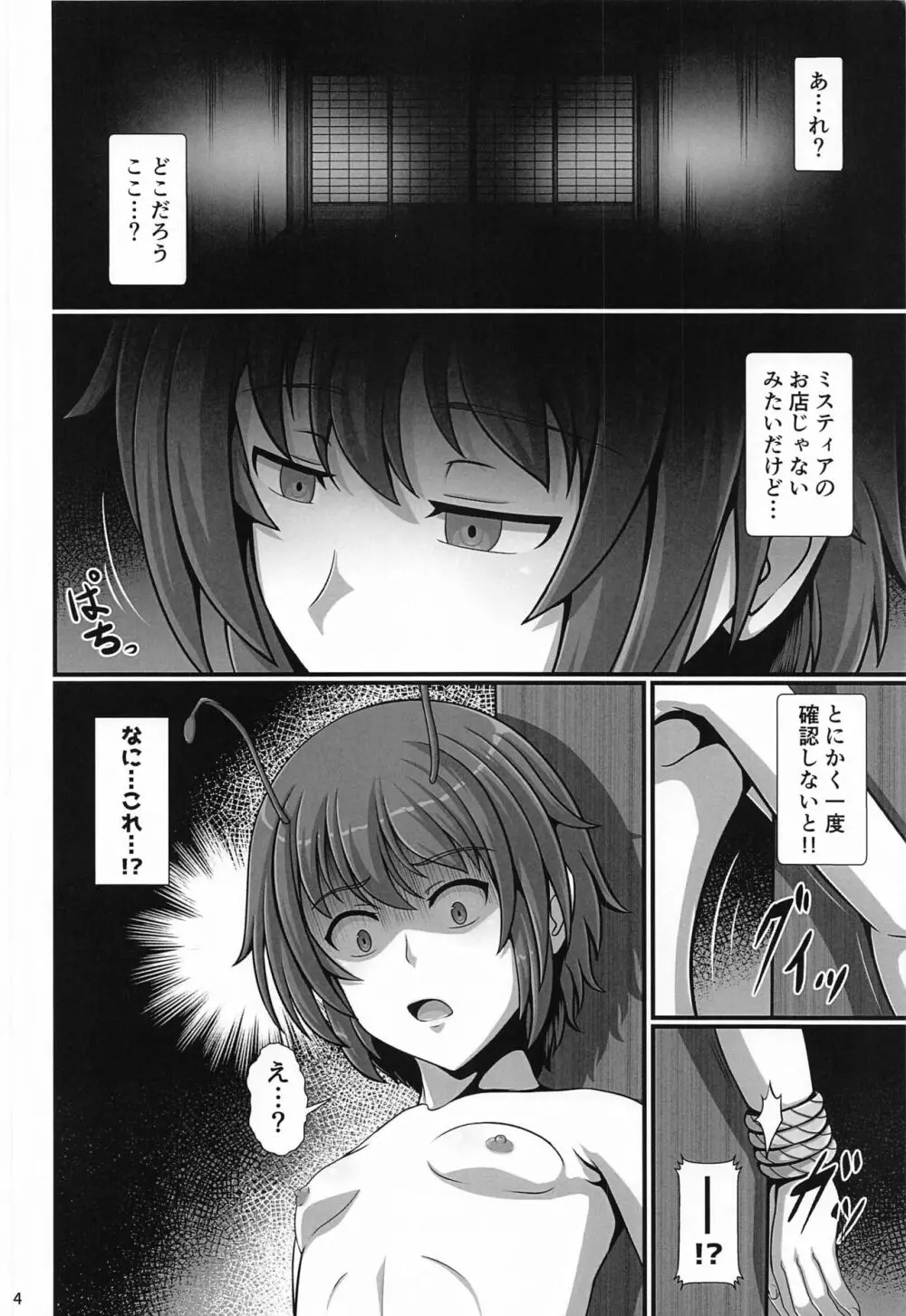 東方催眠絵巻 其の肆 Page.3