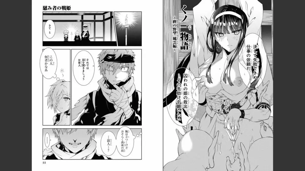 慰み者の戦姫 Page.29