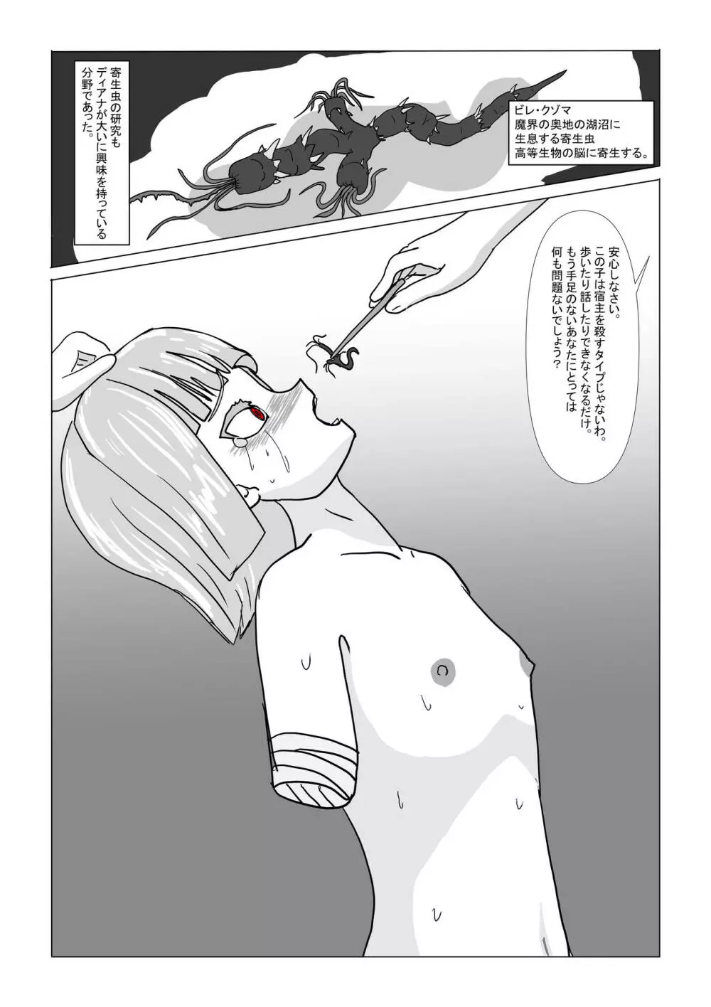 亡国王女の末路 Page.11