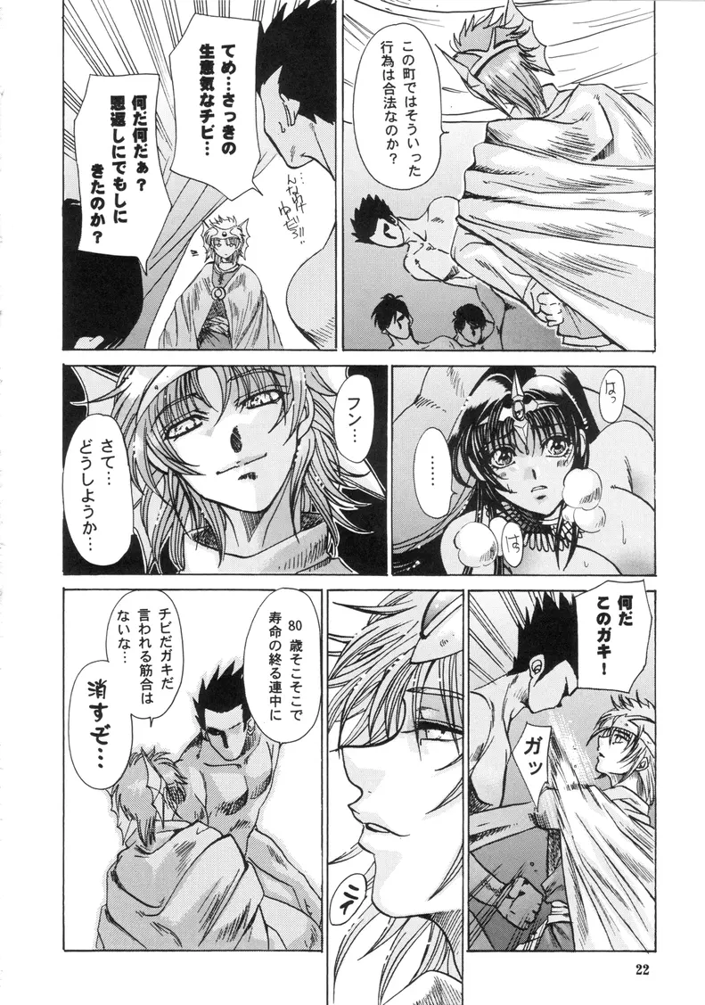 まいちんぐマーニャ＆ミネア Page.20