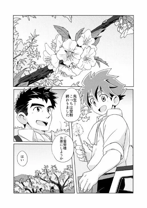 [WEST ONE (10nin) 桜桃 Page.3