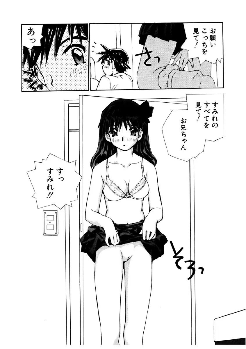 恋を抱きしめよう Page.66