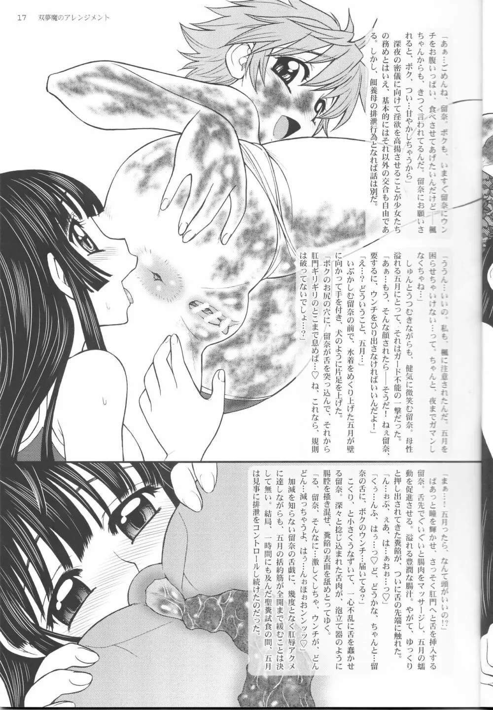 双夢魔のアレンジメント Page.17