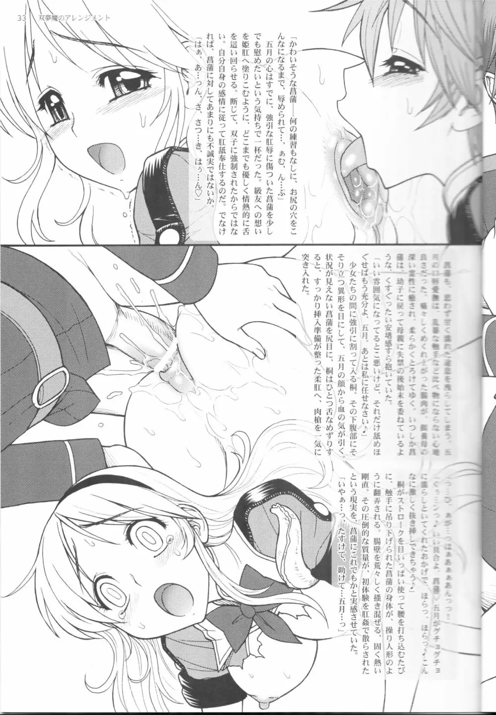 双夢魔のアレンジメント Page.33