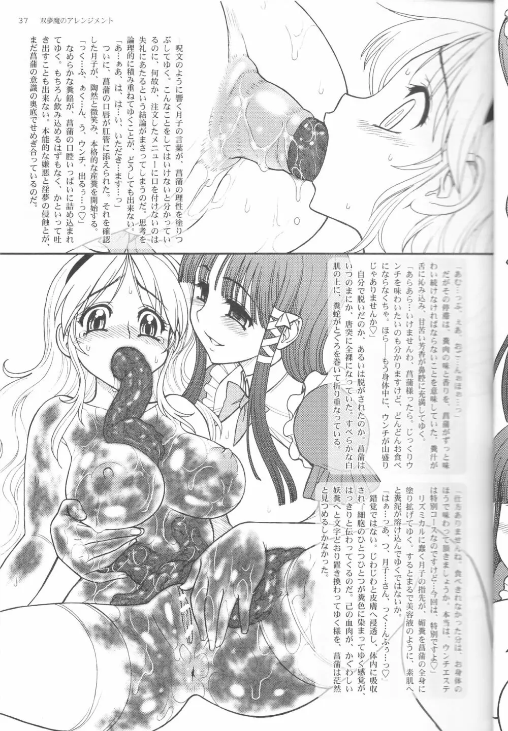双夢魔のアレンジメント Page.37