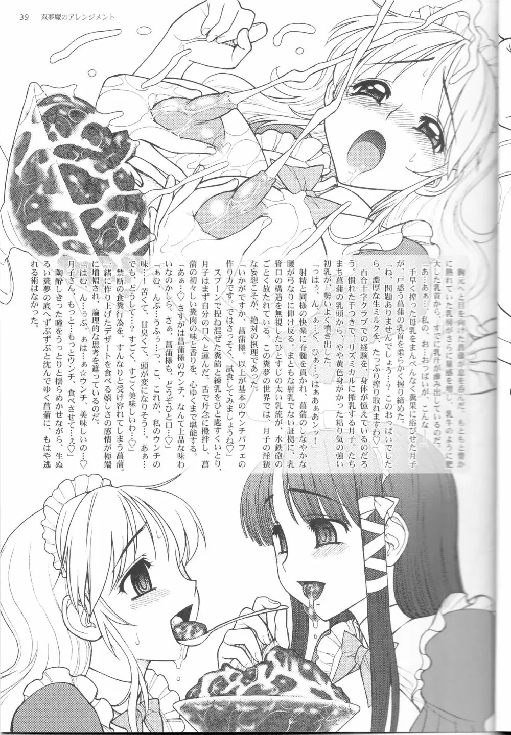 双夢魔のアレンジメント Page.39